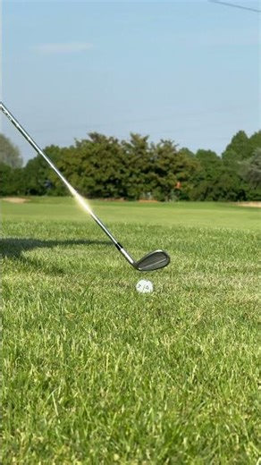 Wedge from the rough 🏌️‍♂️ #golf