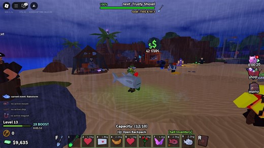 Dig It Rainstorm Event guide