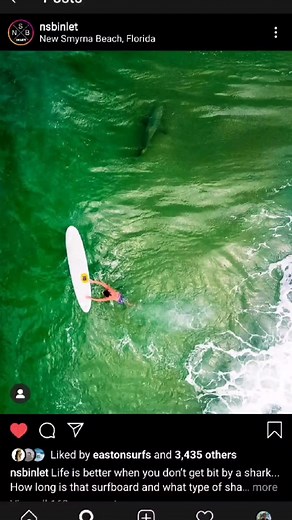 Exploring New Smyrna Beach: Shark Bite Capital of the World