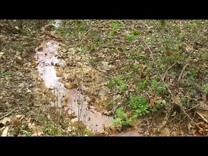 Pond SEEP vs. Pond LEAK, old farm ponds