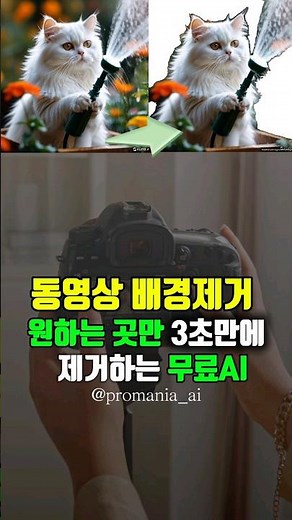 동영상 배경제거, 누끼따기, 영상트래킹, 무료AI