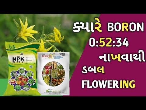 BORON 20% || NPK 0:52:34 ||Boron Fertilizer || #agriculture #farming #plantfertilizer #farmer 