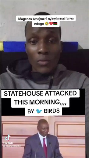 birds attacked state house president William ruto confirmed #fyp #kenyantiktok🇰🇪 #nairobitiktokers #kikuyutiktok #luopeans♥️♥️🔥🔥