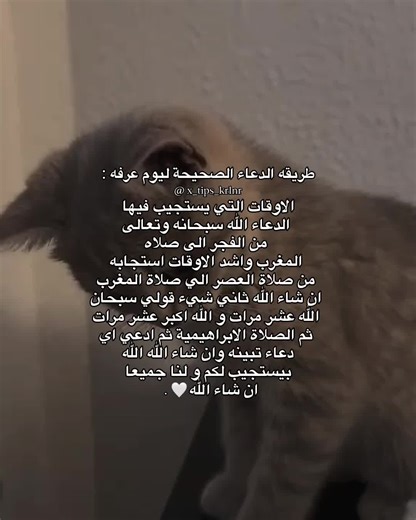 طريقه الدعاء الصحيحة ليوم عرفه : #عرفه #يوم_عرفه #عيد_الاضحى #عيد_الاضحى_المبارك#اجر_لي_ولكم #سبحان_الله_وبحمده_سبحان_الله_العظيم #نصائح_كرلنر?🐰? #كرلنر_لحياة_افضل💗 #كرلنر_كرز_النصائح?😭? #فانز_كرلنر #اطلق_حساب_نصائح_كرلنر #x_tips_krlnr #tiktiklongs #fyp #fyp #explore #explore #حلاوة_اللقاء #بعد_سنوات #loveyoutiktok