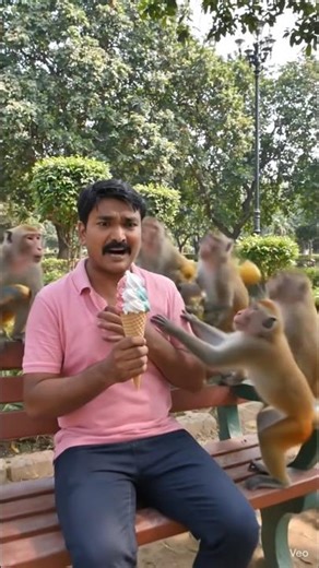 Monkey prank for icecream | monkey funny video #monkey #monkeylove #bandar #icecream #prank #funny
