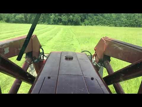 Cutting hay, 684 IH and Kuhn GMD 700 disc mower