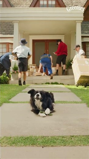 GREENIES: DELIVERY 15”