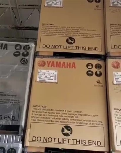 Yamaha 300 Outboards for Sale: Ready for Fishing Adventures