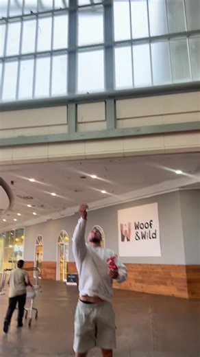 Exploring Hang Time: Understanding Flight Duration