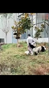 5.6M views · 2.8K reactions | Made delicately with steel, this jellyfish-like sculpture moves with the wind and becomes even more eye-catching when lit up at night in Linyi, Xi's moment, a quick way to learn about China | Xi's Moments | Facebook