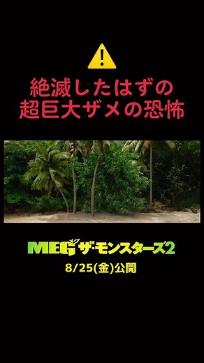 超巨大ザメMEGと恐竜T-レックスの共演！