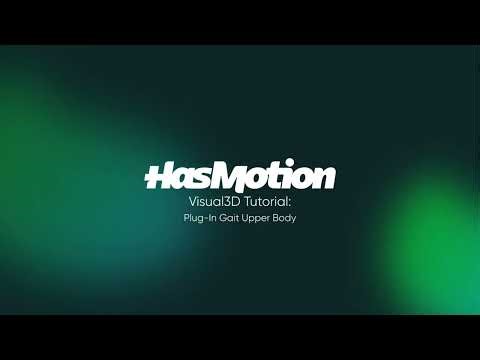 Visual3D Tutorial: Plug-In Gait Upper Body Model