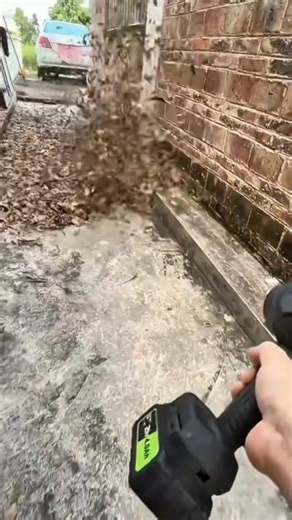 Cleaning a Road with a Portable Leaf Blower | Dry Leaves Cleared in Seconds