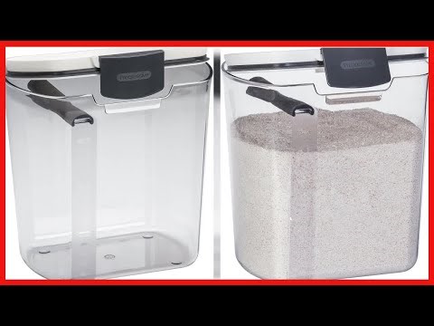 Keep Your Flour Fresh and Mess-Free with the Progressive Prokeeper Storage Container