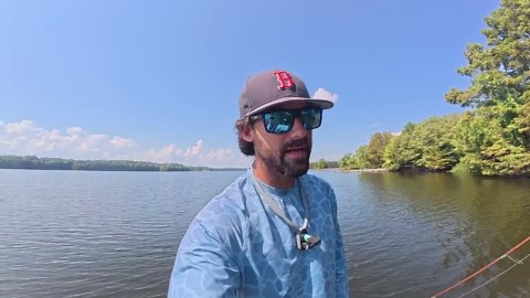 Flooded trees hide a massive surprise monster of the year