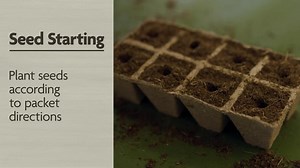 Miracle-Gro Organic Indoor Potting Mix 8 qt. For Houseplants and Seed Starting, OMRI Listed, Soil (2-Pack) VB21537