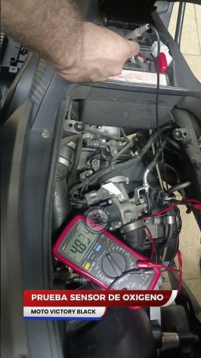 Prueba sensor de Oxigeno VICTORY BLACK