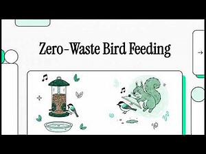 How to Prevent Bird Seed Waste in Your Backyard