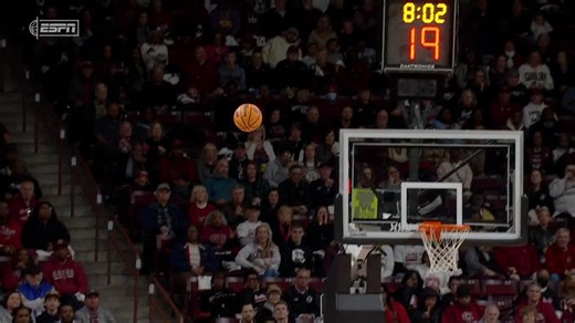 Tennessee Lady Volunteers vs. South Carolina Gamecocks: Game Highlights