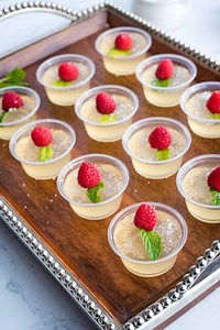 Champagne Jello Shots