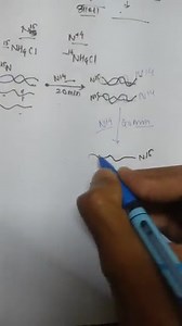 (i) Experimental proof for semi-conservative mode of DNA replic... | Filo