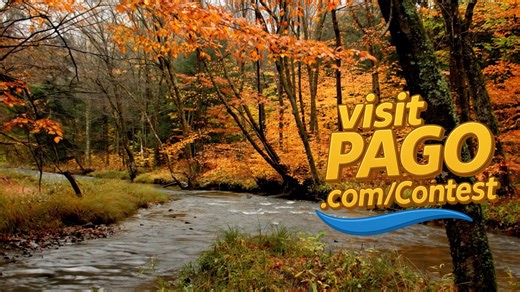 17K views · 51 reactions | Enter our new “SCENIC VIEW” Photo Contest....