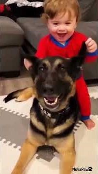 Funny Dog Joins Yoga Class 😂🐶 | Cute Dog Clips