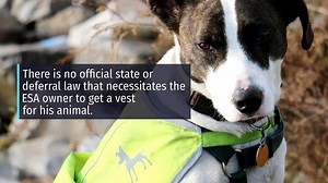 Emotional Support Dog Vest