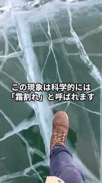 Cold weather causes trees to explode? A hot topic in the US as cold snap hits