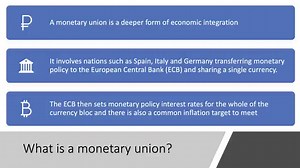 Advantages and Disadvantages of Joining the Euro