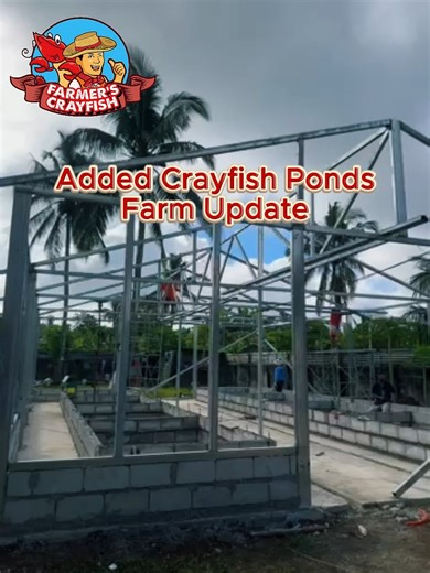 𝗚𝗿𝗼𝘄𝗶𝗻𝗴 𝘀𝘁𝗿𝗼𝗻𝗴𝗲𝗿, 𝗼𝗻𝗲 𝗽𝗼𝗻𝗱 𝗮𝘁 𝗮 𝘁𝗶𝗺𝗲. Progress you can see and growth we’re proud of. Our crayfish farm continues to expand as we add new ponds designed for better capacity, efficiency, and healthier yields. This upgrade means improved farming systems, better water management, and a stronger foundation for sustainable crayfish production. Step by step, we’re building a farm that’s ready for the future. Stay tuned for more updates as we bring this vision to life. Mess
