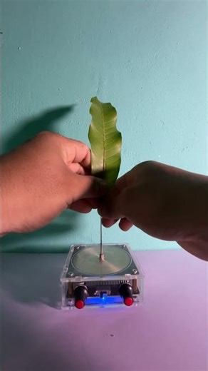 Lightning power #shorts #experiment #teslacoil