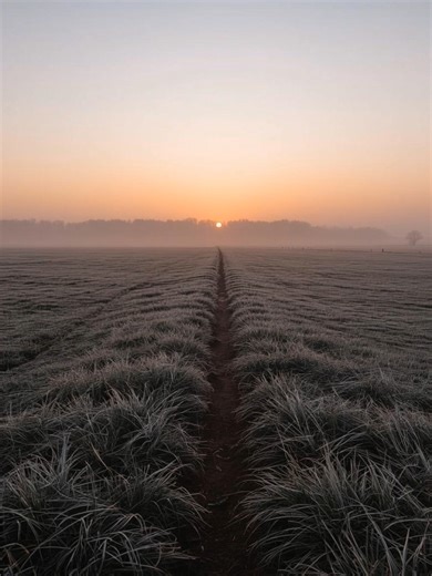 ️ (@thecalmalgorithm)’s videos with One more light - 🥷