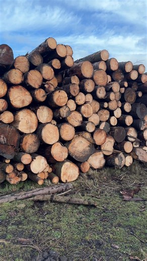 Holmfirth Views 😎 #huddersfield #holmfirth #huddersfieldwalks