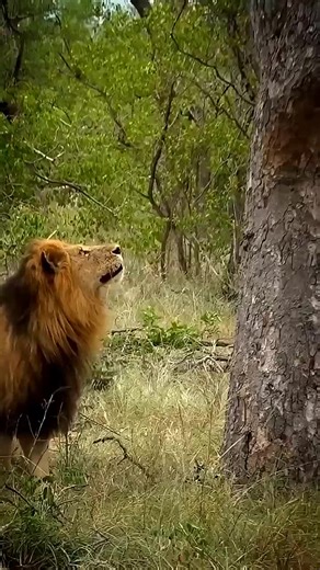 Discover the Magic of Smart AI Bots in Tech