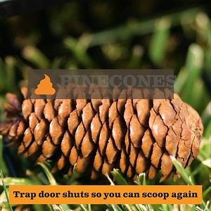 3.2K views · 97 reactions | Save money and reduce plastic waste with the Lift N’ Bag – use just one bag to clean up multiple poop piles. | Neater Pets | Facebook