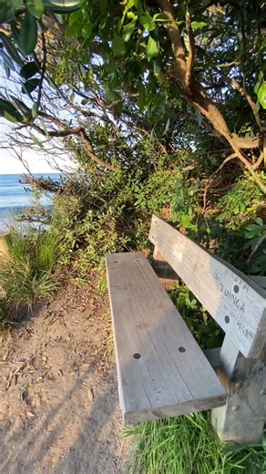 🌊 #frankocean #waves #ocean