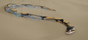 Snake ground matching rig and animation in Blender