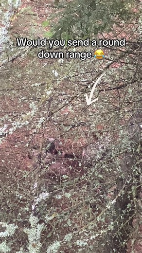 Backcountry Mafia on TikTok