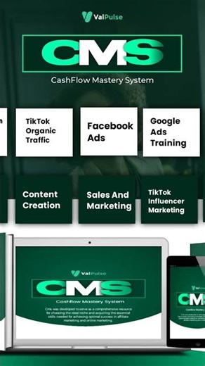 CMS program.a program that will teach you how to make money online