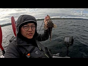 北极春季自给自足3天：野菜+海参+鳕鱼做出6人海鲜大餐 3 Days of Self-Sufficiency in the Arctic: Foraging, Fishing & Feasting
