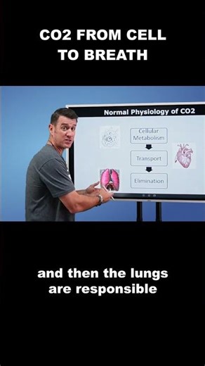 Respiratory Therapy - Co2 from cell to breath