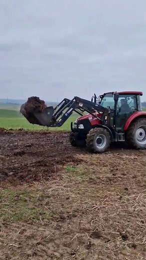 Steyr 4110 - Case Farmall 75 - TEBBE manure spreader The horse manure must be spread on the field. #bigtractorpower #agri #farmequipment #farm #johndeere #machine #agriculture #harvest #farmer #farming | Agrar Vibes | Facebook