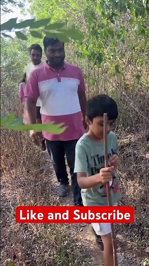 🌳Pune’s Best Sunrise Trek | Baner Pashan Tekdi | Weekend Nature Escape #BanerPashanTekdi #PuneTrek