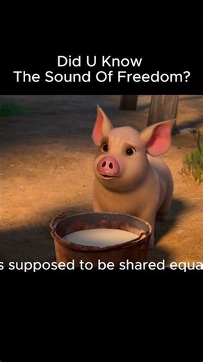 The Sound Of Freedom #usa