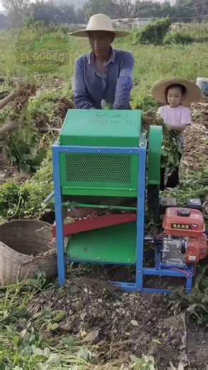 Massive Peanut Harvest 🌱🥜 Pull Once Get Dozens! Modern Farming Technique 2026