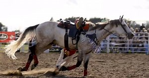 Team CSI Athlete and Trick Rider, Sophie Dutch! Thank you Sophie for putting your trust into CSI! #csichamp #csipads #csisaddlepads #saddlepads #handmade #USA #horse #westerntack #tack #saddlefit #aqha | CSI Saddlepads