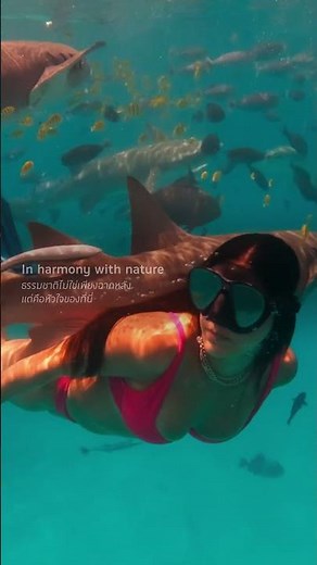 Escape the Ordinary at SAii Lagoon Maldives