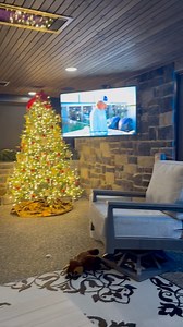 ❄️ It’s freezing outside… but not on this patio! 🔥 One of our awesome customers sent us this video showing off the patio we built for him. Even with the cold temps, they are staying warm and comfortable thanks to the MagnaTrack Screens and heaters—proof that outdoor living doesn’t have to stop when the weather turns chilly. 🏡✨ Backyard goals. 📍 Designed. Built. Installed with care. 💦 Pools | 🔥 Outdoor Kitchens | 💡 Backyard Magic. 📞 810.213.8010 📍 9422 Marine City Hwy Suit 1, Casco Twp 🕒