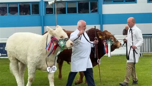 Champion and Reserve of the Junior Beef Interbreed 👉 Don’t miss a moment — head over to https://www.thescottishfarmer.co.uk/news/25250511.welcome-royal-highland-show-2025/ and follow the excitement as it happens! 🎪🚜 #RoyalHighlandShow #ScottishFarmerLive #Ingliston2025 #FarmingNews #LivestockShow #RHS2025 #AgricultureUK #FarmLife #ScottishFarming | The Scottish Farmer